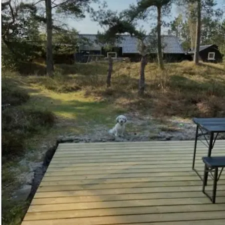 Cozy Nearby Great Sandy Semesterbostad Højby